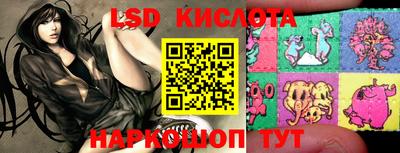 гашик Краснодар